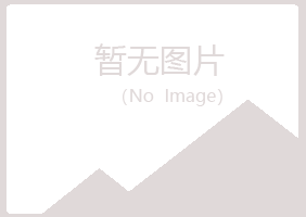 鹤岗南山执着金属有限公司